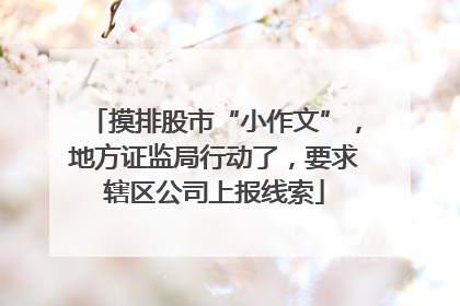 摸排股市“小作文”，地方证监局行动了，要求辖区公司上报线索